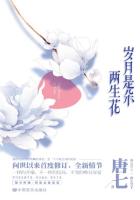 岁月是朵两生花（刘恺威、王丽坤主演）小说封面